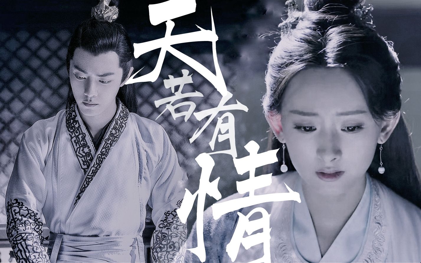 言冰云沈姑娘天若有情剧情向完整版