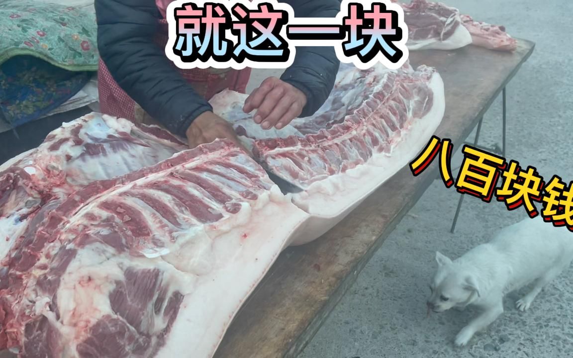 今天北方猪肉大减价,这哥们买这大一块才800块,将近60斤,便宜哔哩哔哩bilibili