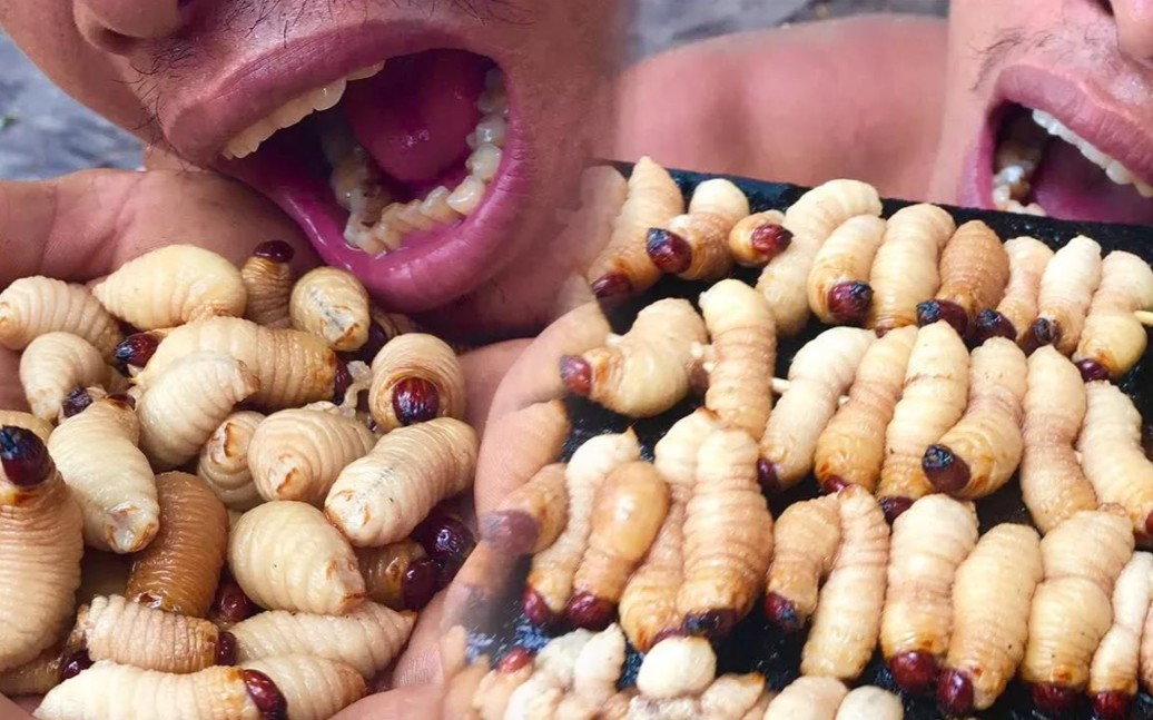 油煎美味的爆浆椰虫_哔哩哔哩_bilibili