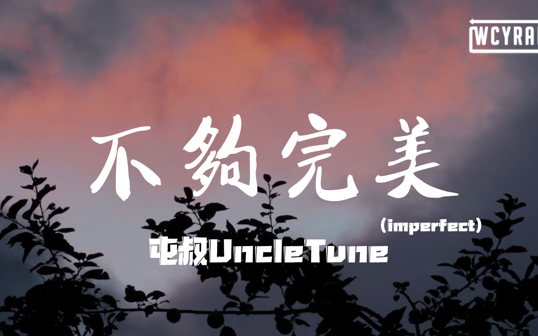 屯叔UncleTune  不够完美(imperfect)「有这种那种完美生活正在上演」【动态歌词/Lyrics Video】哔哩哔哩bilibili