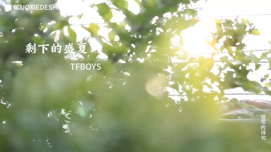 剩下的盛夏永不凋谢