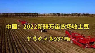 Скачать видео: 中国：2022新疆万亩农场收土豆