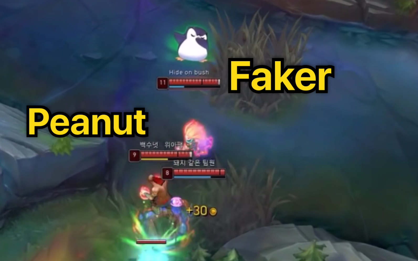 Faker、Peanut排位撞车,久违的中野联动,佐伊超神了!表情互动超欢乐~哔哩哔哩bilibili