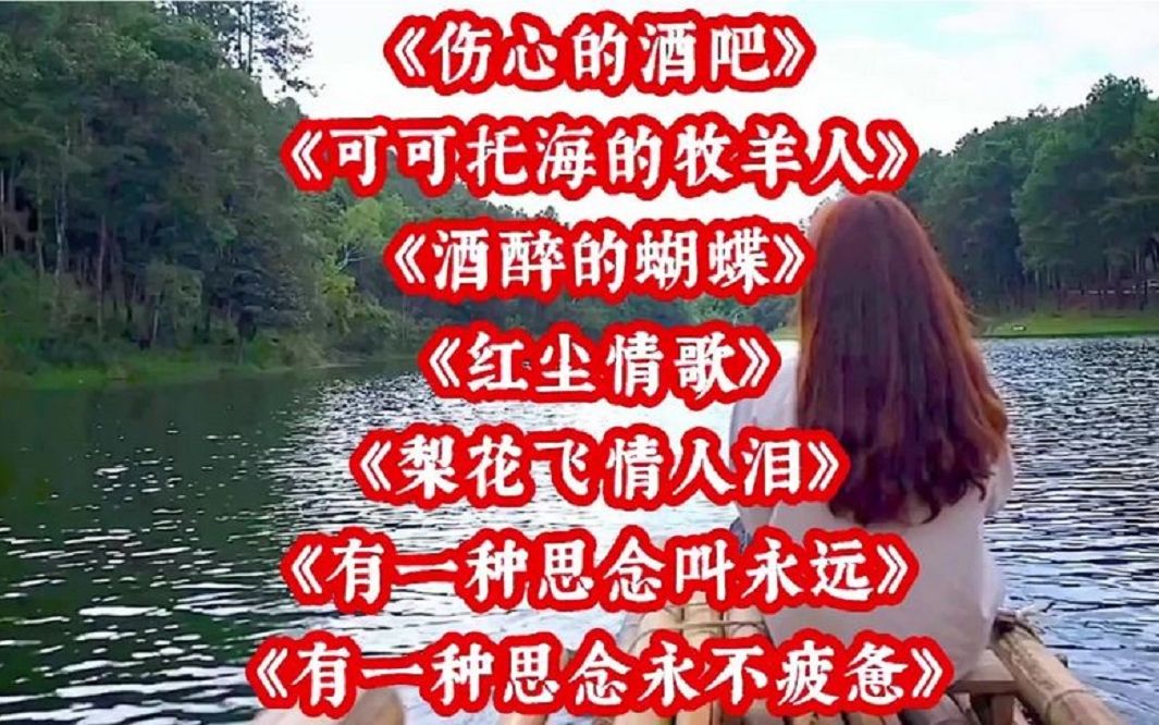 [图]串烧金曲<伤心的酒吧><可可托海的牧羊人><酒醉的蝴蝶><红尘情歌