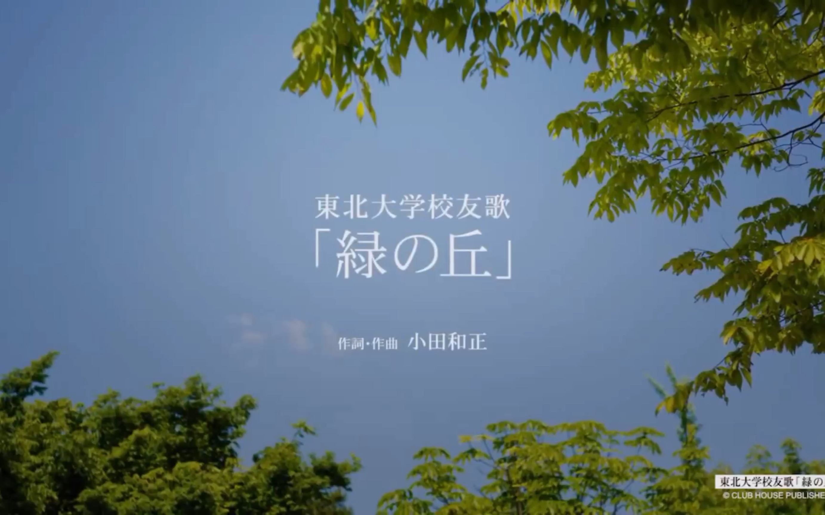 绿の山东北大学tohokuuniversity