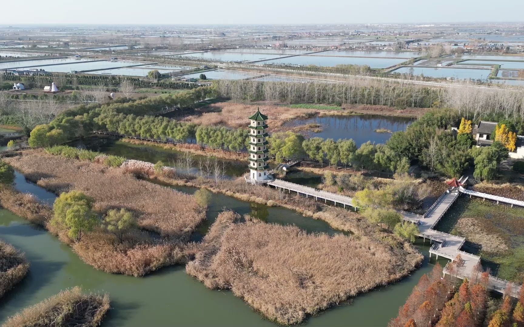 [图]芦荡迷宫“中国之最”-大纵湖芦苇迷宫 航拍最美家乡