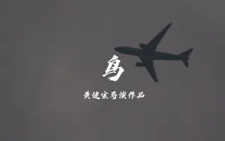 大学生微电影《鸟》