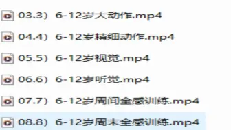 第二部分 6-12岁全感专注力测评与训练【分享wk996365】