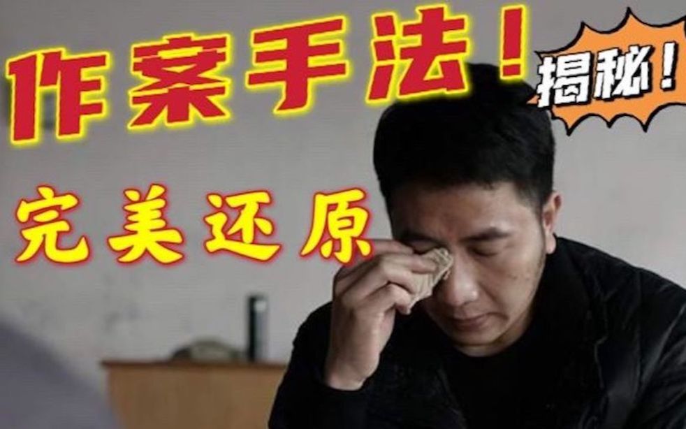 完整揭秘林生斌作案细节直击要害全程推理一场完美犯罪的真相