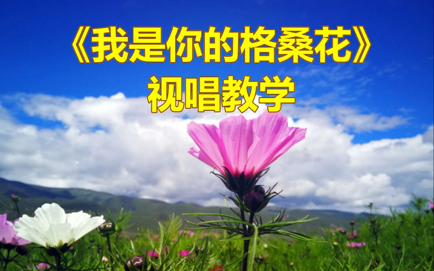 《我是你的格桑花》视唱教学,零基础轻松学简谱哔哩哔哩bilibili