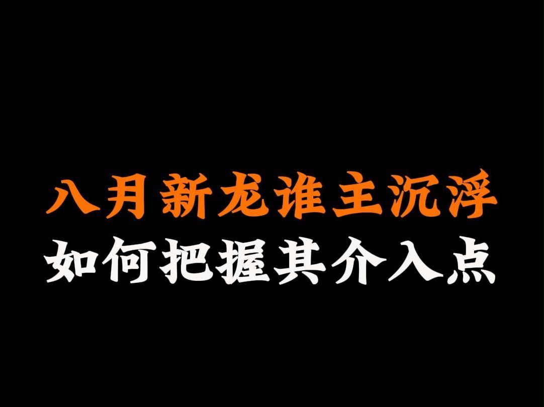 八月新龙谁主沉浮,如何把握其介入点哔哩哔哩bilibili