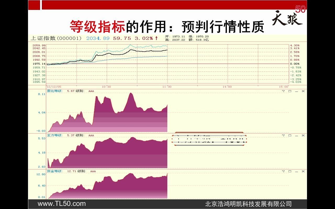 《等级指标》3. 等级指标如何判断行情风格刘洪明哔哩哔哩bilibili