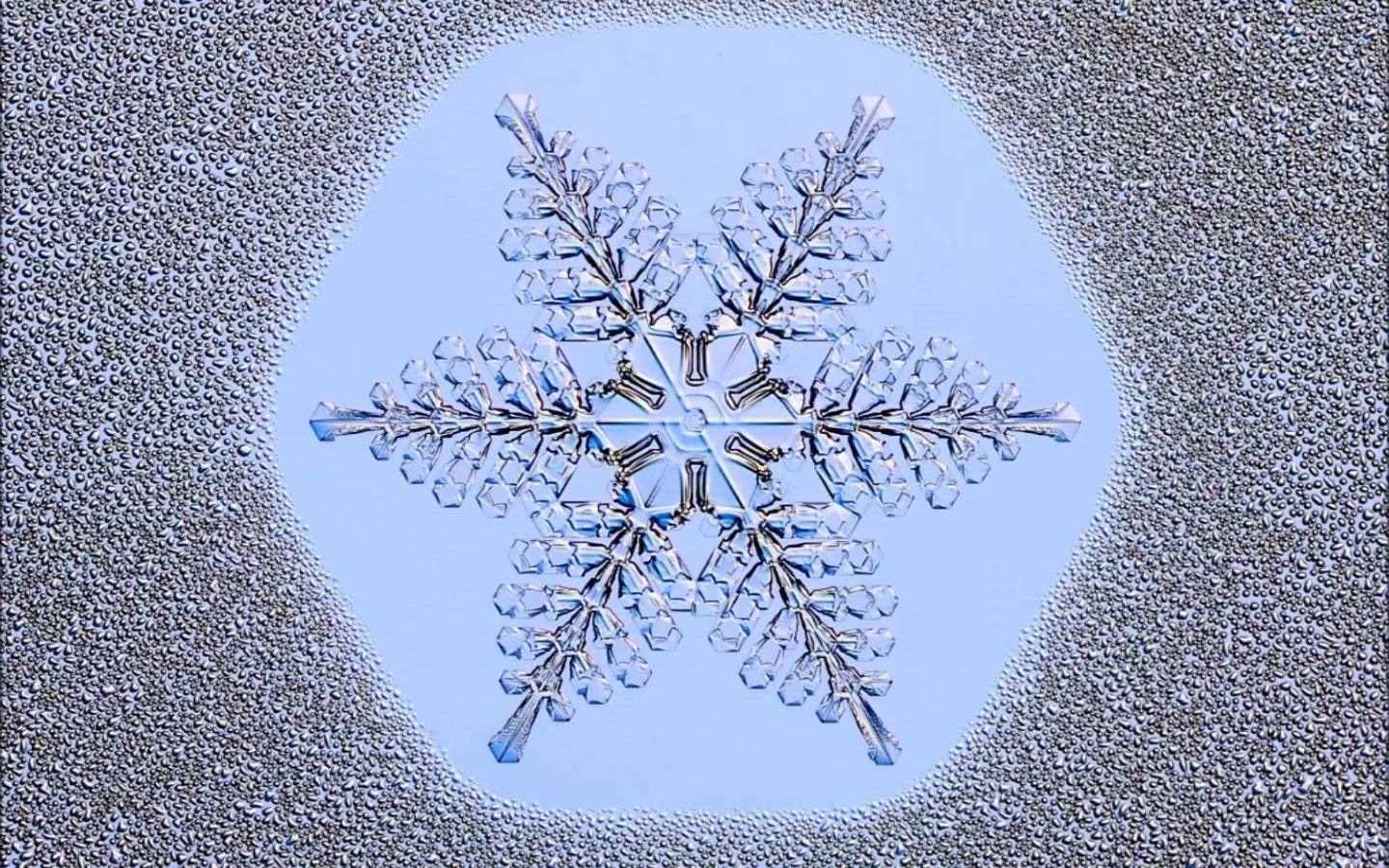 「科普」一颗雪花的生长过程