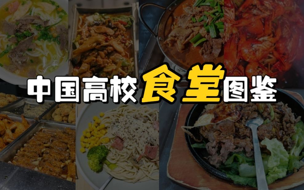 中 国 高 校 食 堂 图 鉴哔哩哔哩bilibili