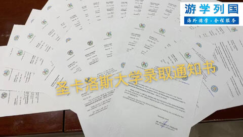 圣卡洛斯大学 教育管理哲学博士 工商管理哲学博士 菲律宾中央大学 心理指导与咨询专业教育学博士 招生进行中 6月开课 截止报名日期 5月日 欢迎咨询 哔哩哔哩 Bilibili