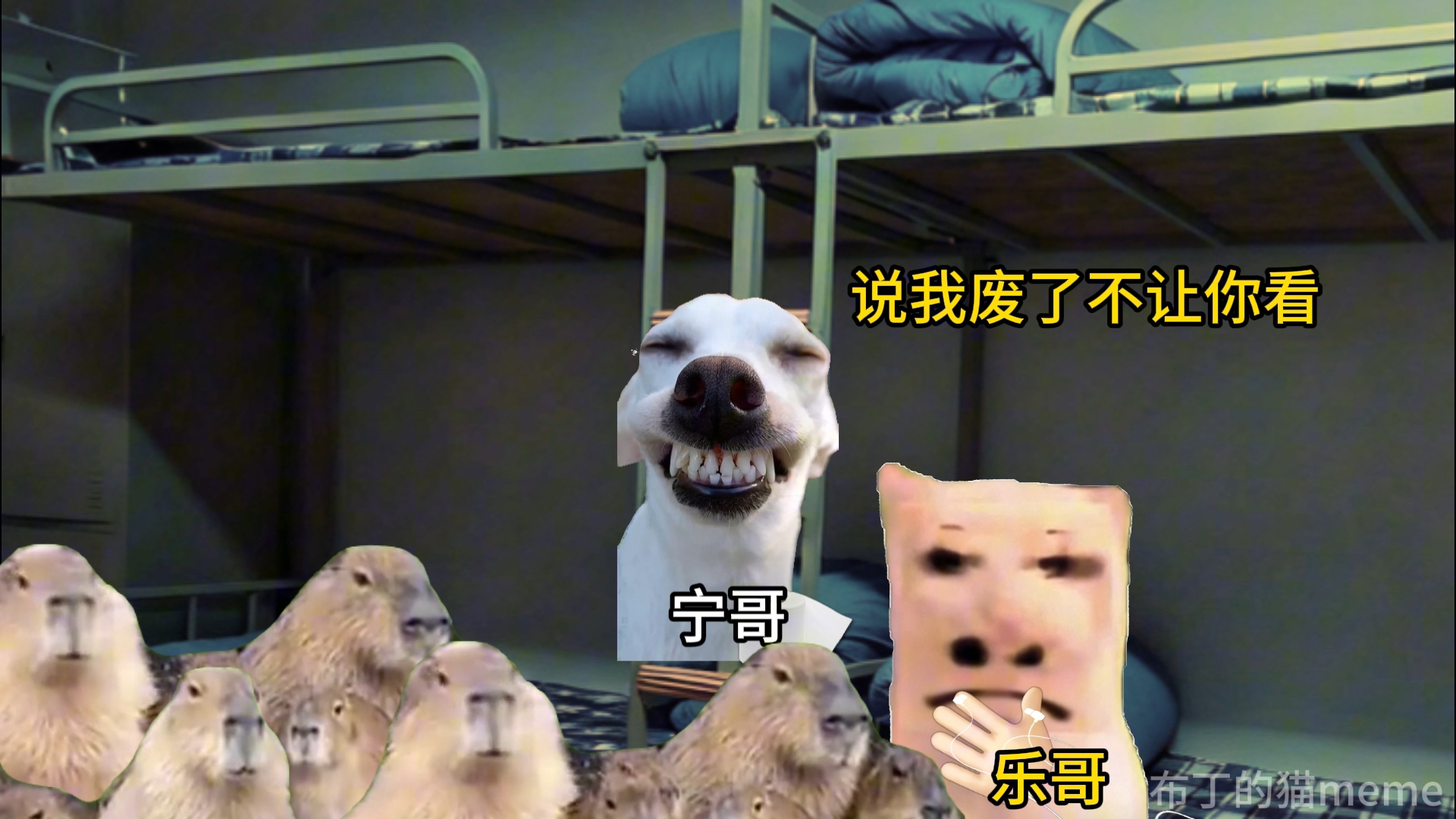 高中时在宿舍开电影院-布丁的猫meme-布丁的猫meme-哔哩哔哩视频