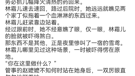 《软萌王妃:战神王爷太能宠》林霜儿夜北承小说分享TXT文件哔哩哔哩bilibili