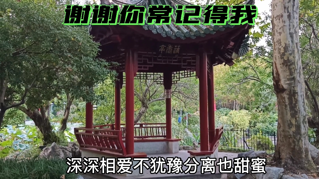 [图]《谢谢你常记得我》经典歌曲