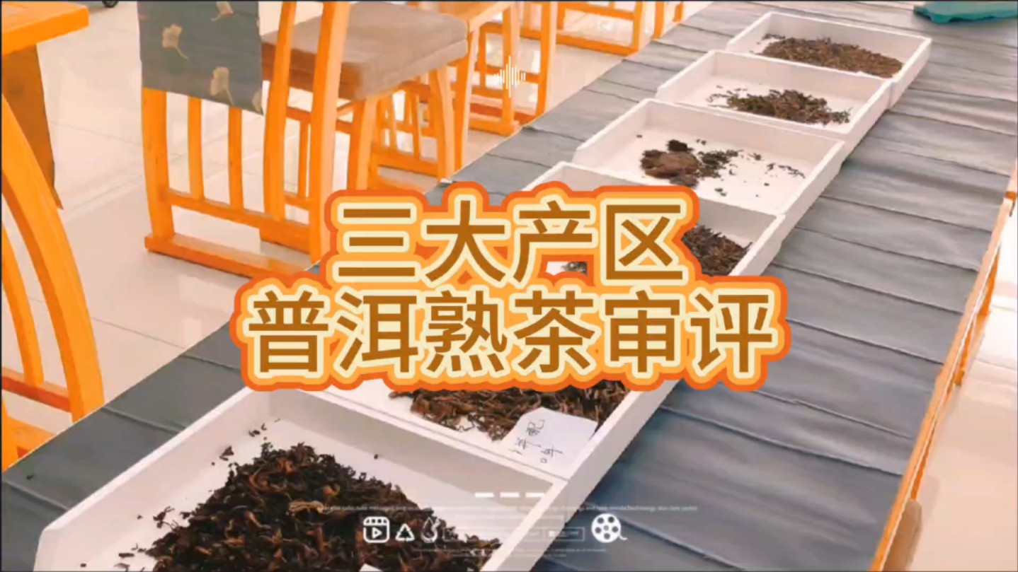 三大产区普洱熟茶审评你有喜欢的吗?哔哩哔哩bilibili