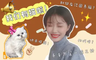 奶猫法 搜索结果 哔哩哔哩 Bilibili