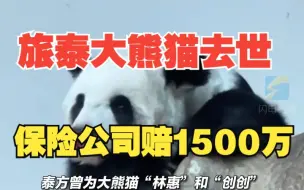 Télécharger la video: 旅泰大熊猫林惠去世 泰国保险公司将其赔付1500万