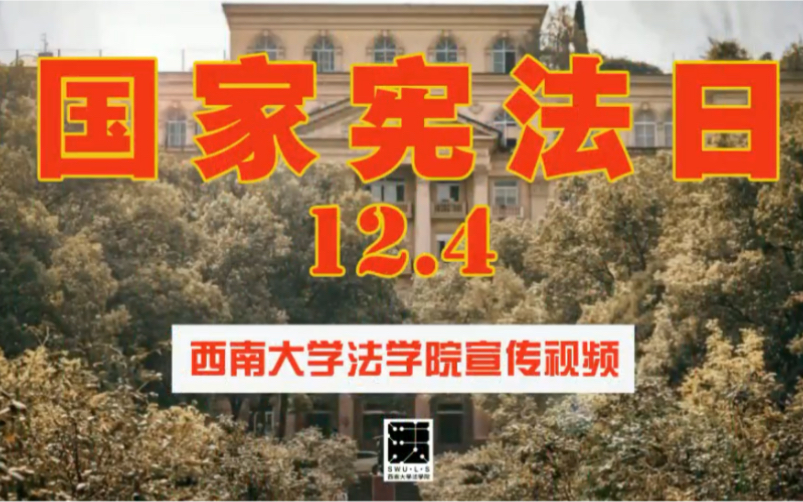 12.4/国家宪法日/西南大学法学院哔哩哔哩bilibili