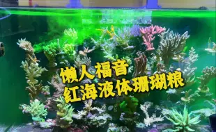 Tải video: 懒人福音AB能量水 直接往缸里倒