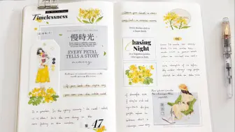 迎春花终于开啦