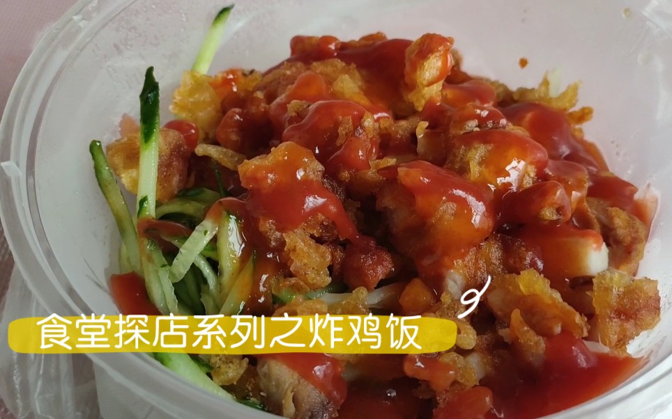 【食堂探店】西安某大学食堂探店之炸鸡饭哔哩哔哩bilibili