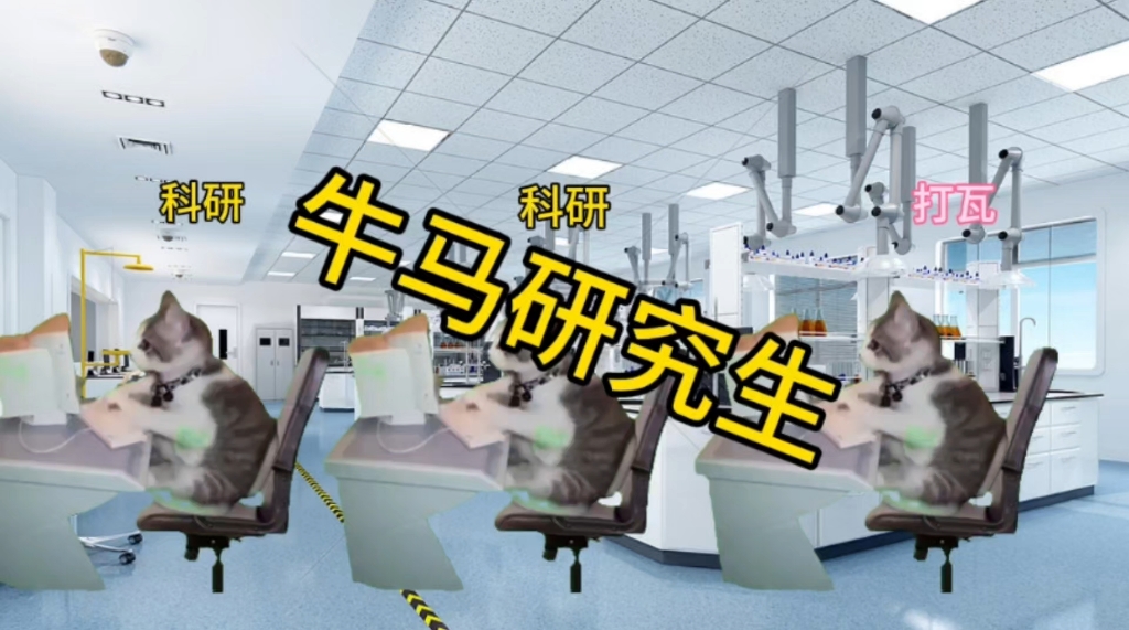 牛马被抓日常
