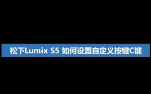 Download Video: 松下 Lumix S5如何设置自定义按键C键