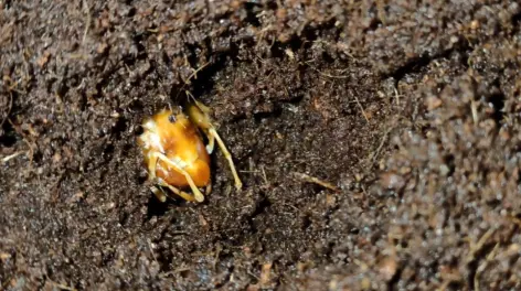 uy灬scuti的动态-哔哩哔哩