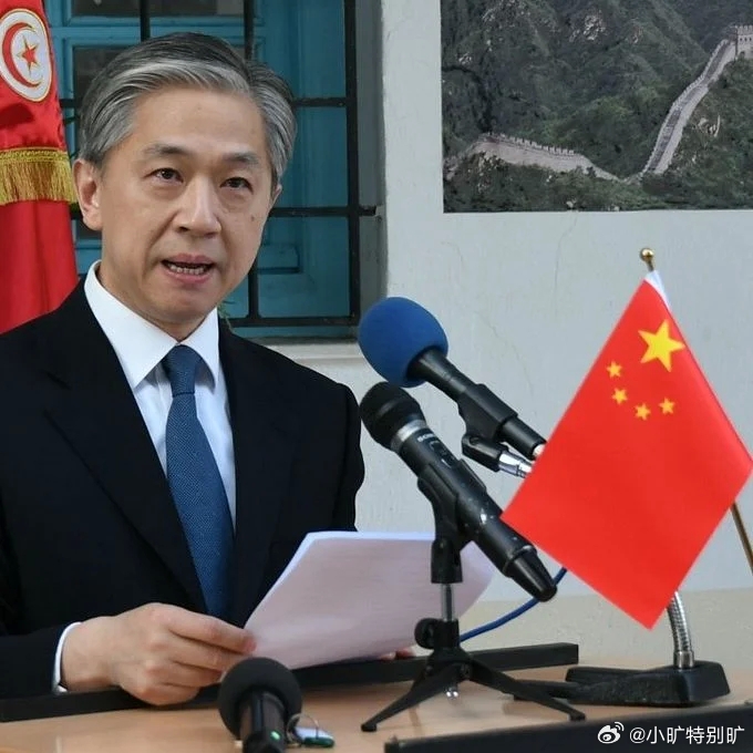 【汪文斌】驻突尼斯汪大使