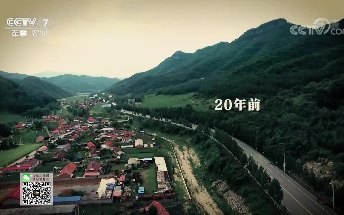 乡村法制剧场(原《法制编辑部》)《乡村法制剧场》20181109一个女人的复仇哔哩哔哩bilibili