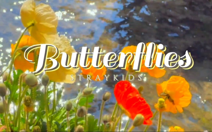 [图]《Butterflies》｜后台一只蝴蝶停到方灿鼻子上 后来便有了butterflies｜浓郁的自由气息扑面而来