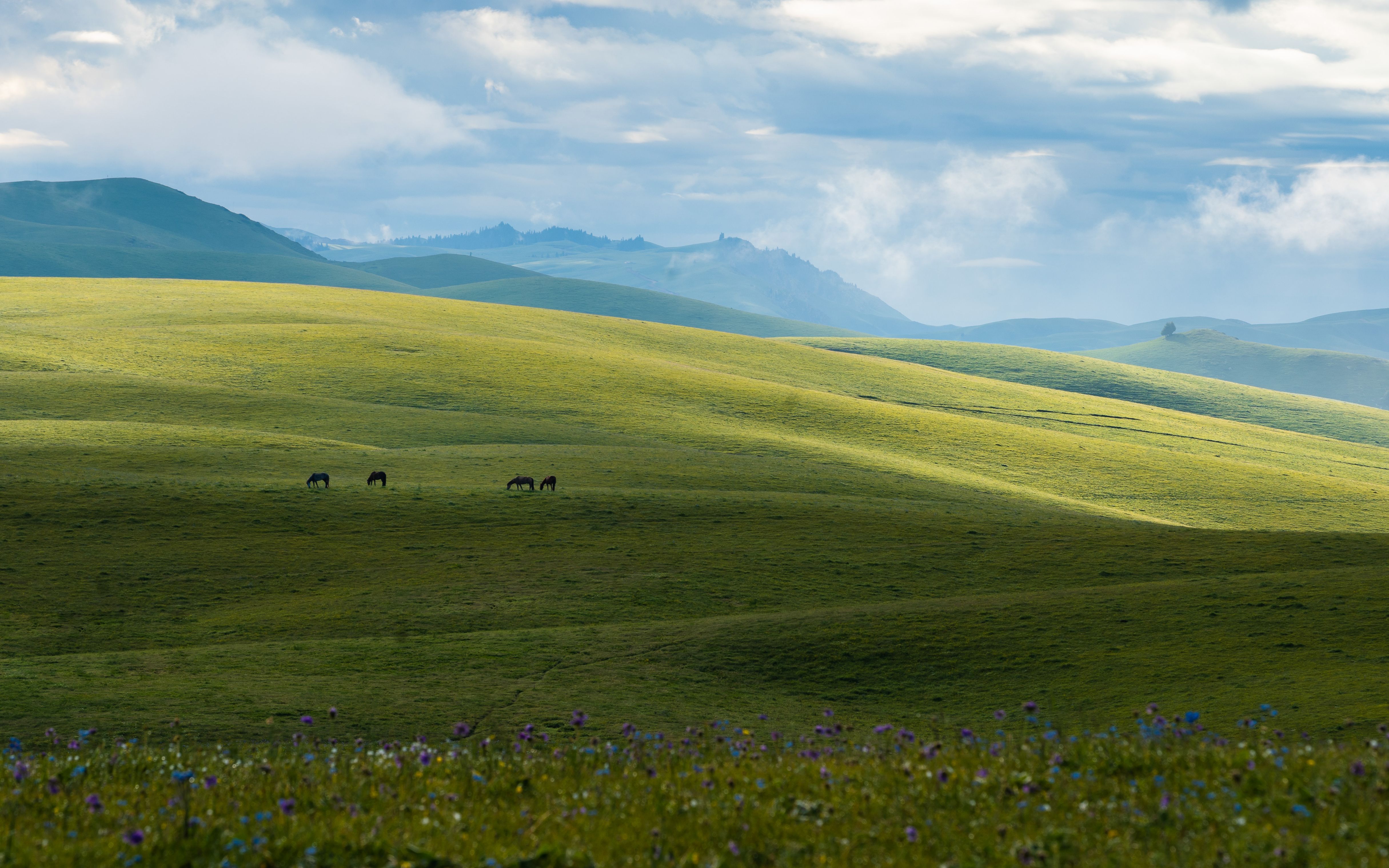千里天山 最美伊犁 (新疆行摄)