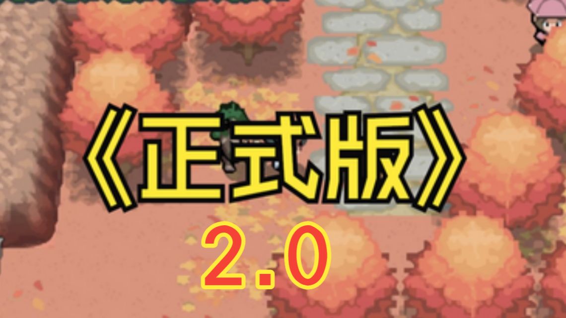 NDS改版 心金Promax 正式版发布