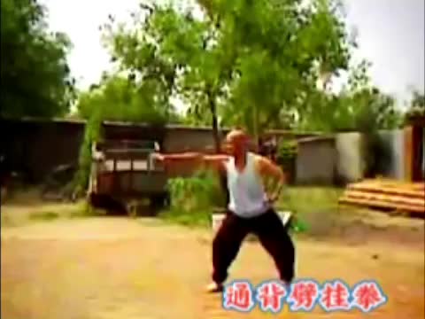 中央国术馆学员,劈挂拳大师杨宝兴一脉的青龙拳.哔哩哔哩bilibili