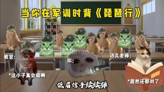 Video herunterladen: 当你在军训时背琵琶行