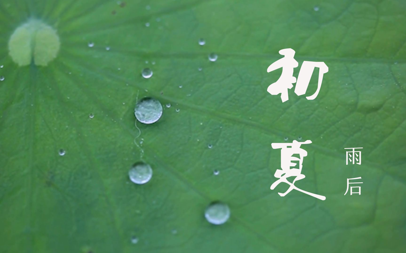 [图]【好听背景音乐×初夏雨后】这是我第一次听这首曲子就想到它值得配这样的一个视频