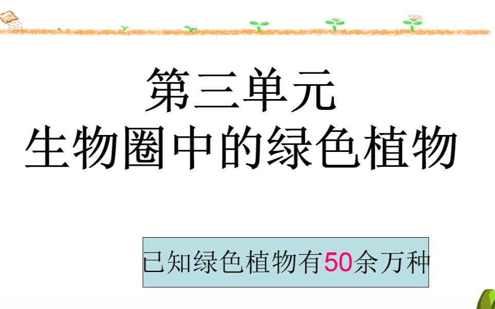 中考复习3 3.1生物圈中有哪些绿色植物哔哩哔哩bilibili