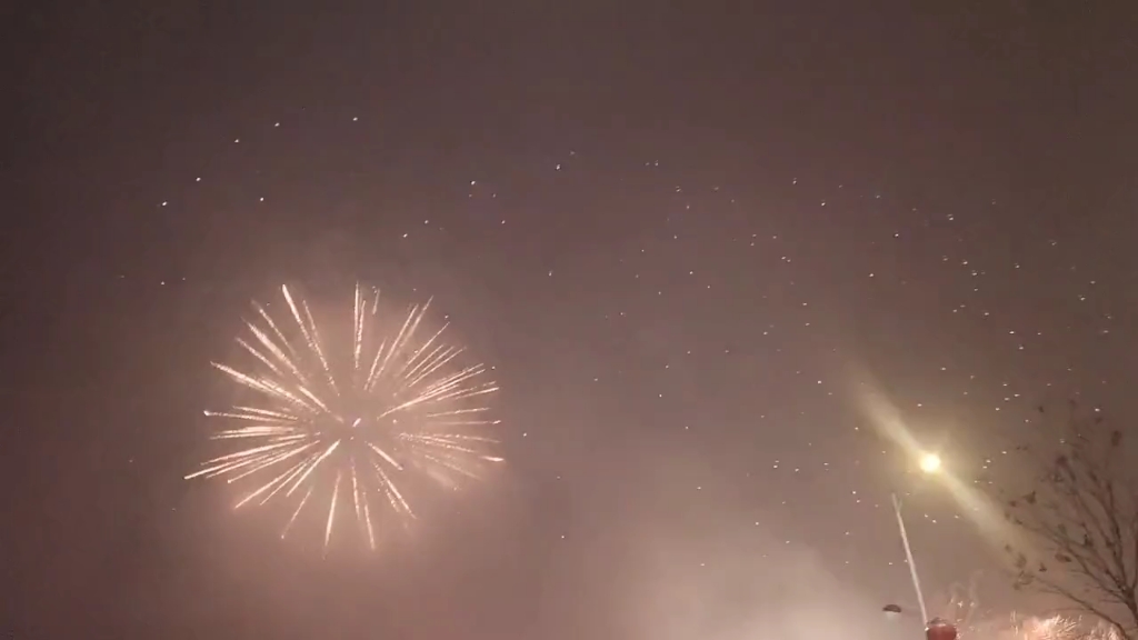 万民引颈观焰火,烟花炸开满天星