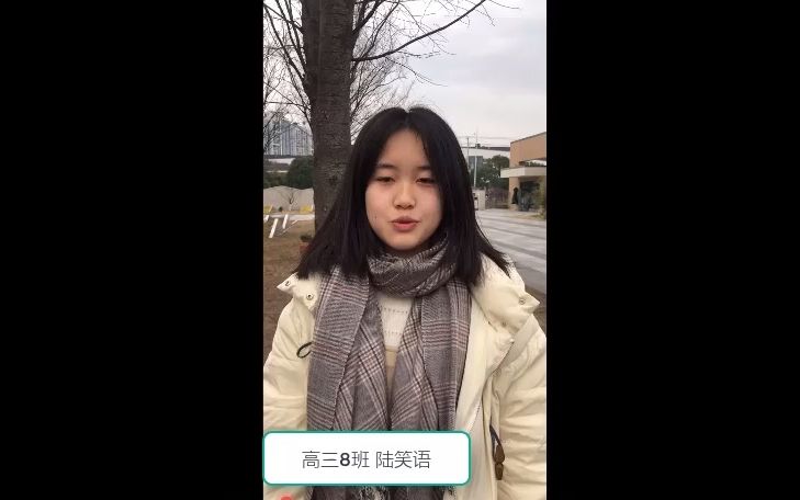 榉树介绍哔哩哔哩bilibili