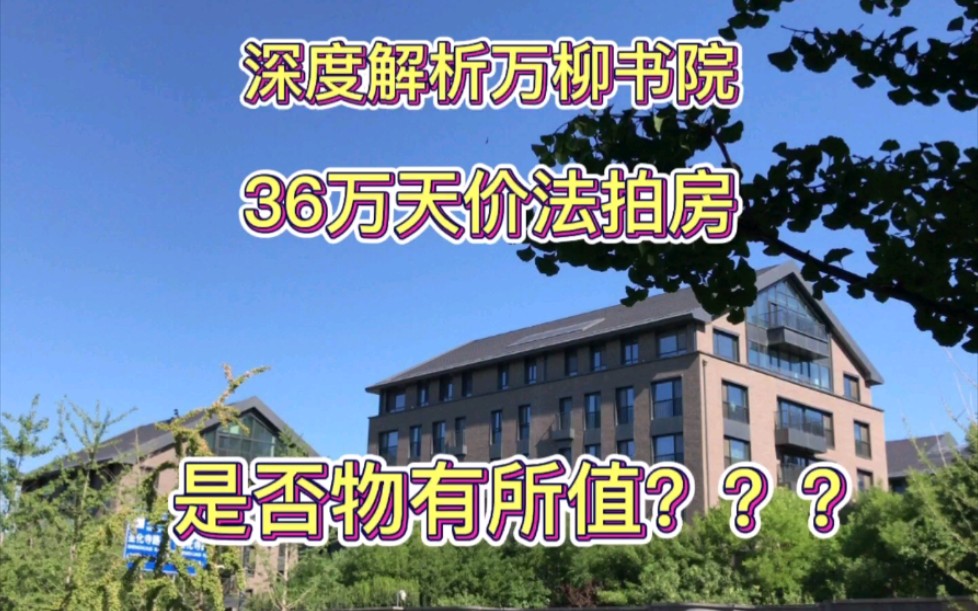 深度解析万柳书院36万天价法拍房!难道豪宅买家真不在乎价格吗?哔哩哔哩bilibili