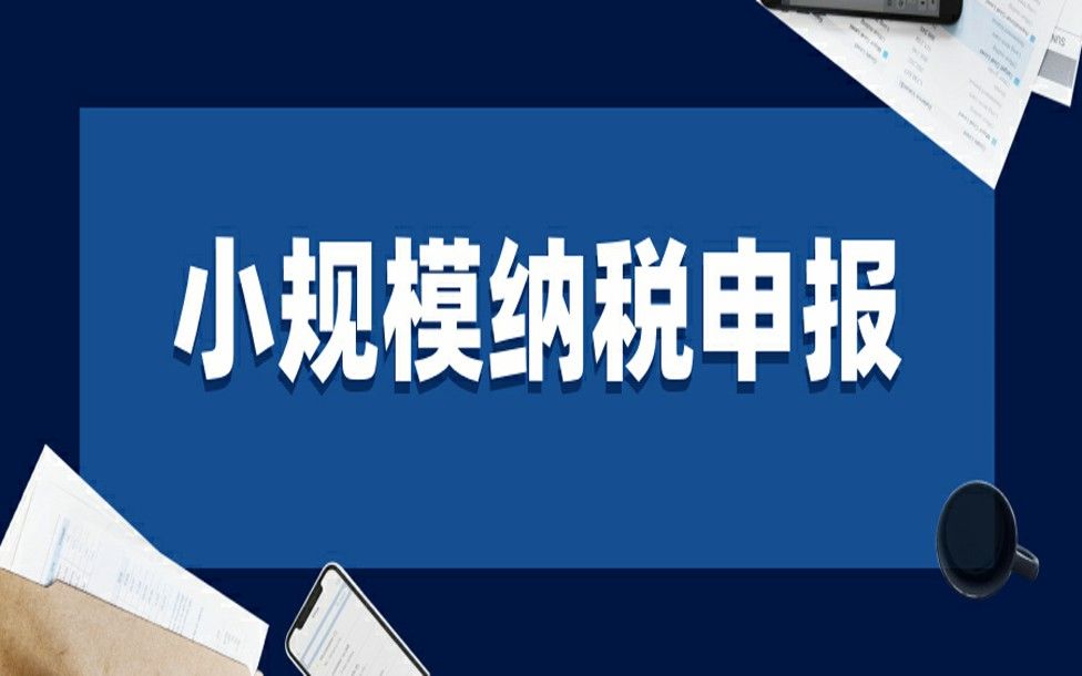 小规模纳税人第2季度——资产负债申报方法哔哩哔哩bilibili