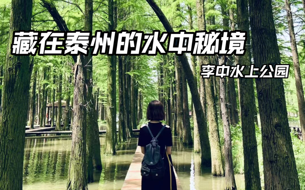 【阿思旅行日记】泰州李中水上森林公园,藏在森林里的水中秘境.做着小船看着绿荫下的白鹭,整个人都仿佛置身于仙境中.哔哩哔哩bilibili