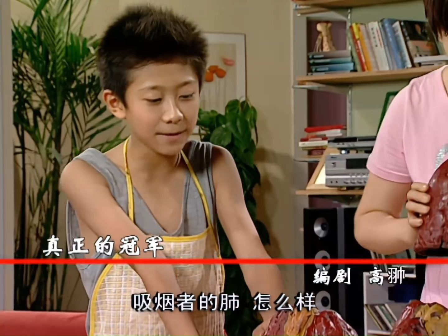 【家有儿女 第一部】90·1 真正的冠军