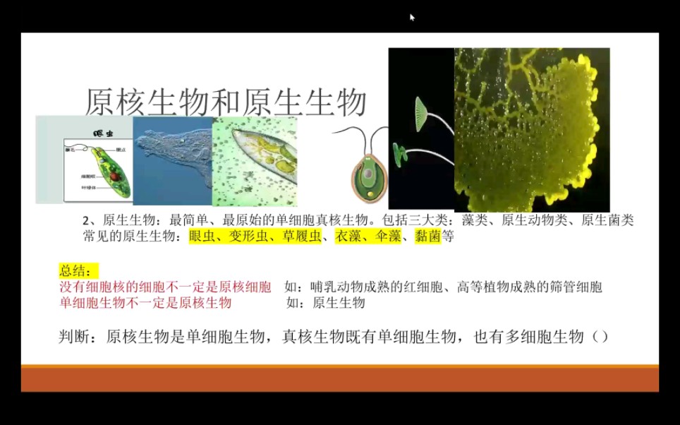 高中生物必修一第一章#原核生物和原生生物概念区分#哔哩哔哩bilibili