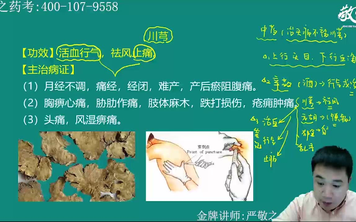 [图]2021年执业中药师考试视频 中药学专业知识二 闫敬之