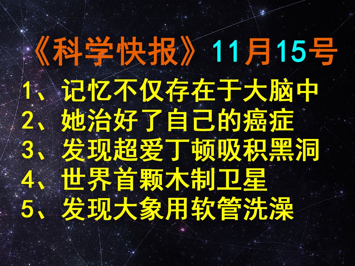 颠覆认知!记忆不仅存在于大脑中,【科学快报180】哔哩哔哩bilibili